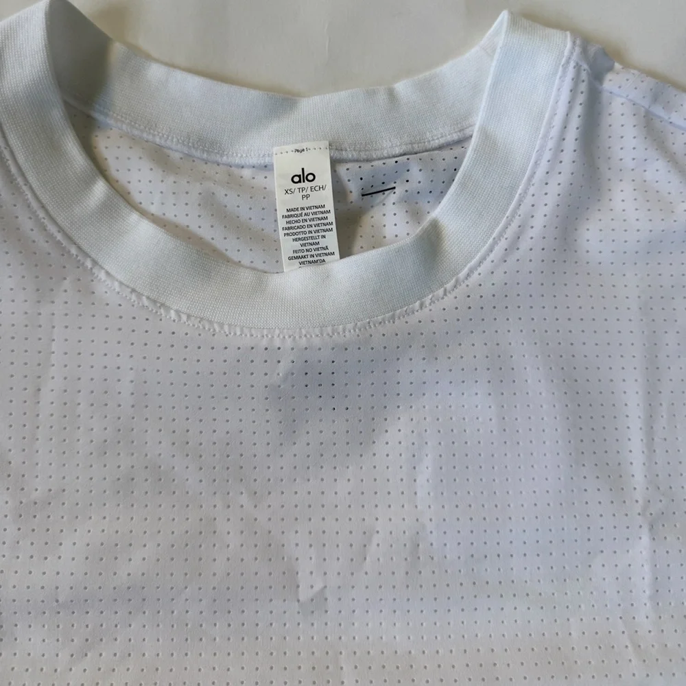 ALO Yoga Mesh Cropped Mirage Tee - Picture 3 of 11